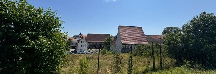 BP Bild 2 vom Feld