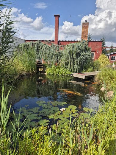 Naturparadies nähe Ludwigslust mit Schwimmteich, Koiteich und Werkstatt für Pendler Hamburg - Berlin – Koiteich