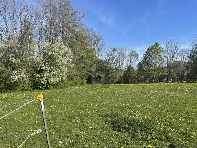 INVESTIMENTO NEL TUO FUTURO - COMPRA UN TERRENO – Foto 1