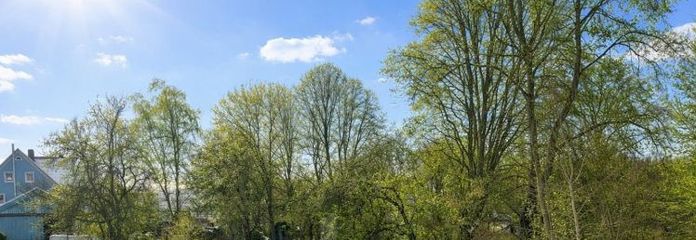 IDILLIO RURALE