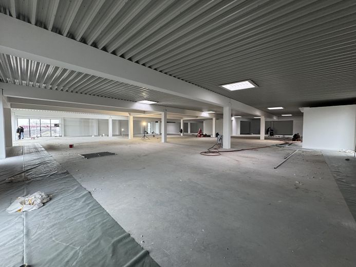 500-3.000m²-Handel/ Büro/Lager/Produktion-HRO-Brinckmansdorf – Foto 4