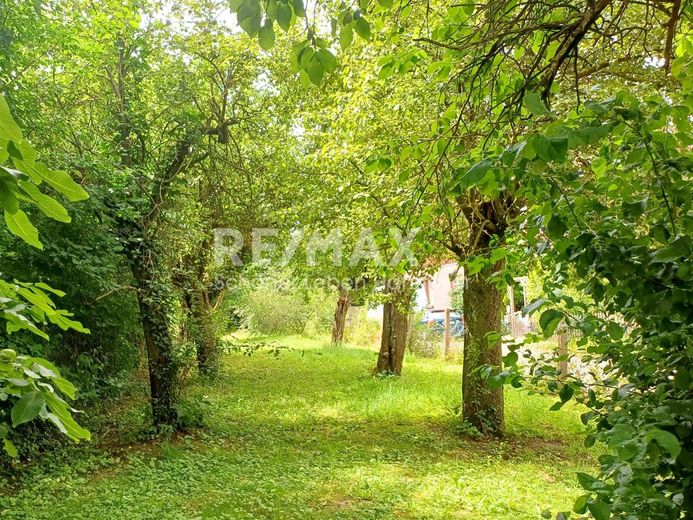 Resthof mit 3.642 m² Grundstück in Springe OT Alversrode – Garten 3