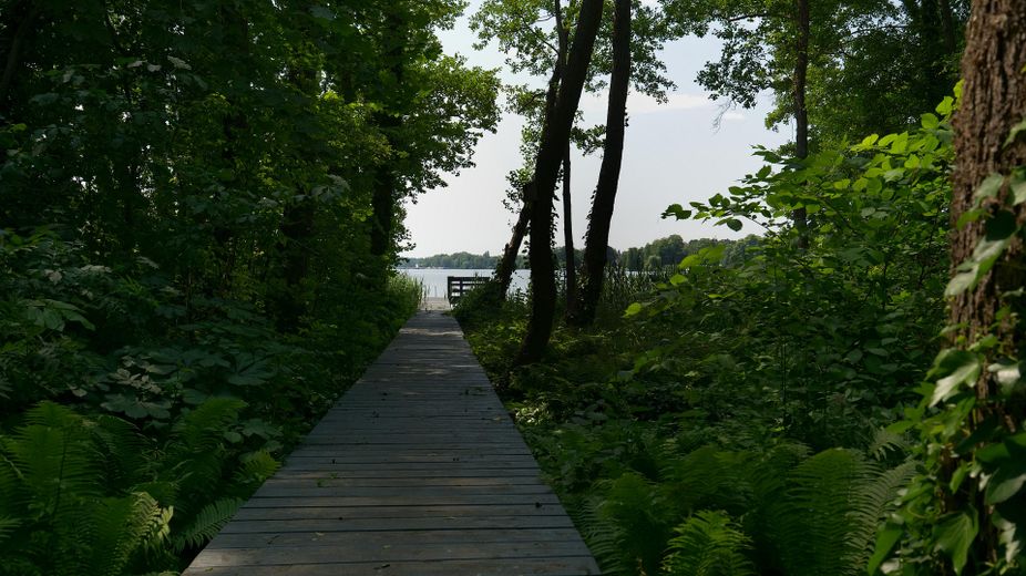 Traumhaus direkt am See mit eigenem Steg in der Natur – Weg durchs Biotop