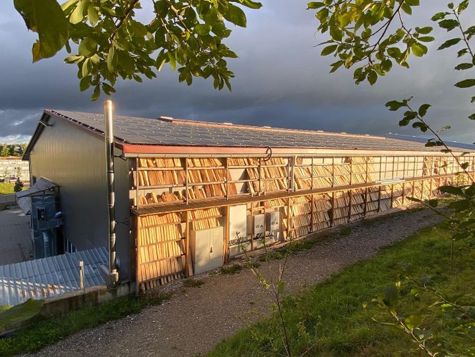 Lager- und Produktionshalle mit Büro – Foto 15