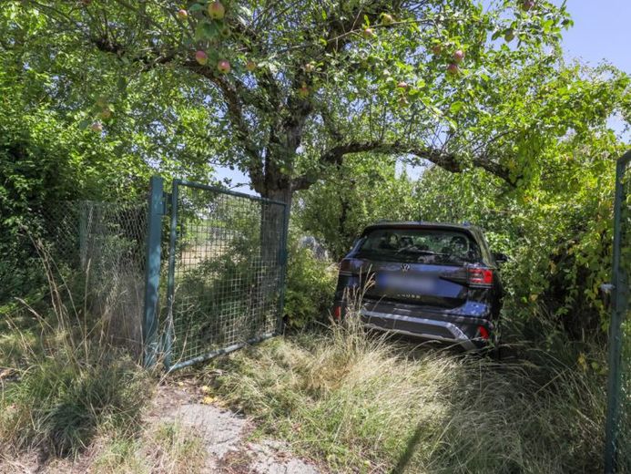 Gartenfreunde aufgepasst! - Freizeitgrundstück im beliebten Gartengebiet Krummer Weg / Riebergle – Foto 1