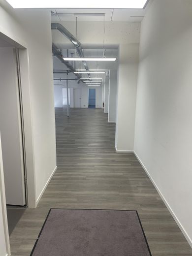 Moderne Bürofläche in Top-Lage Winterhude/Uhlenhorst – courtagefrei – Eingangsbereich