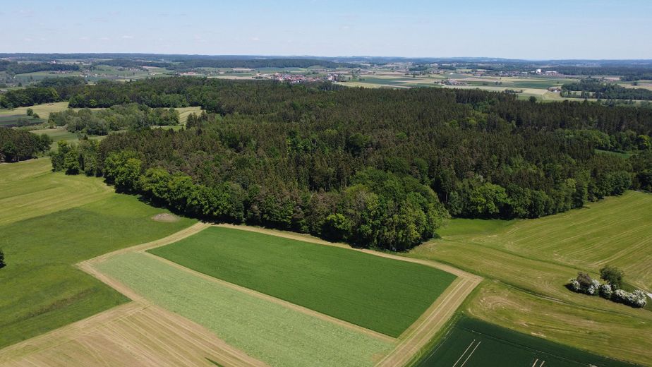 Äcker und Wälder