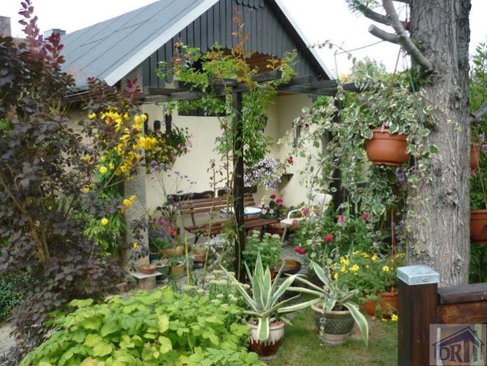 Neuer Preis!! Viel Platz in Haus und Garten !!!
***sofort beziehbar*** – फोटो 1