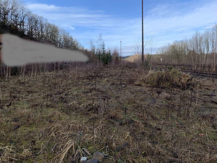 gewerbliches Grundstückspaket - 38222m² - am Bhf./Bahngleisen – 240105_Lengenfeld_GS_1263_24_25_26_009_verpixelt