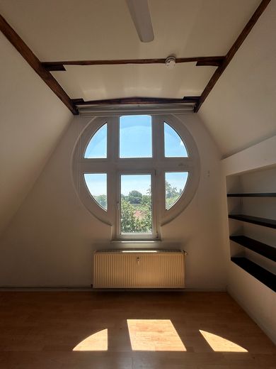 Çekici, ışık dolu çatı katı yaşam hayali – Magdeburg Stadtfeld Ost – Foto 1