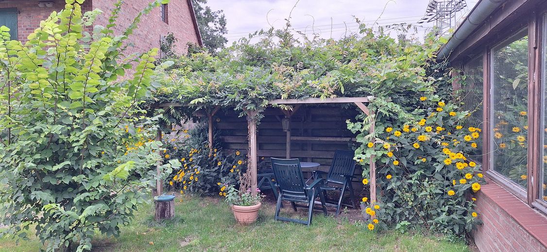 Innenhof Pergola