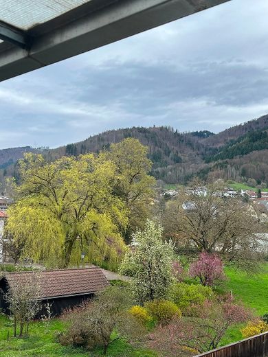 Gemütliche 2-Zimmer-Penthouse-Wohnung mit Balkon und Einbauküche in Wehr – Foto 11