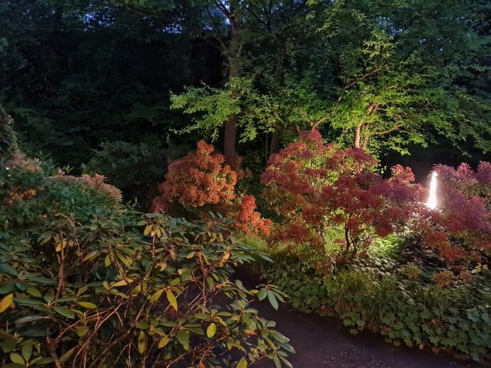 Garten am Abend