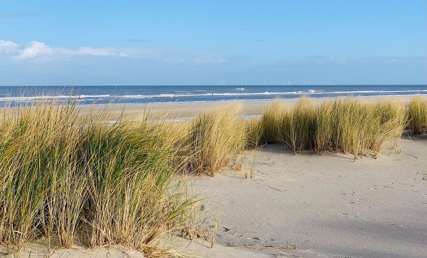 Wangerooge: mieszkanie wakacyjne z 2 balkonami – 100 m od plaży – bez prowizji – Wangerooge Strand