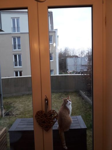2,5 Zimmer Garten Wohnung im wiesbadener Künstlerviertel<br> – Blick aus Wohnzimmer