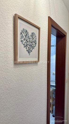 26927 HomeCompany Dresden Möbliert/Furnished 1-Zimmer-Apartment in Dresden-Coschütz/Uninähe max. 2 Personen – 97494fb016a7aa84b8586d0d98c30c6434ce9d63.jpg