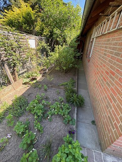 Nutzgarten im Norden