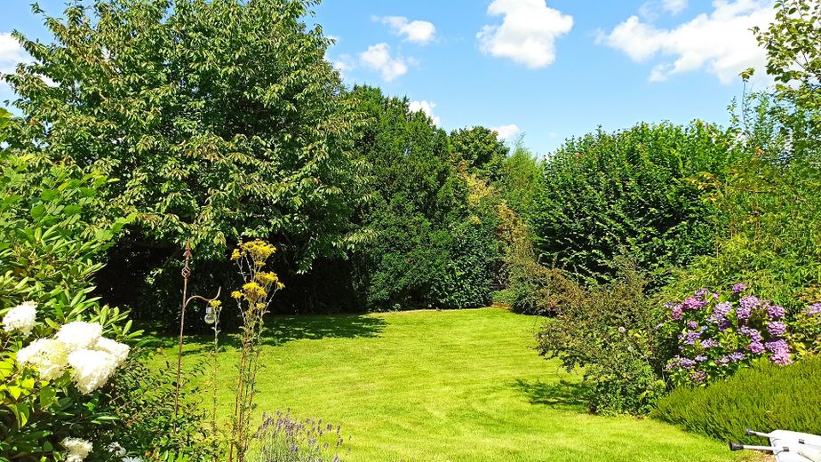 Sicht in den Garten