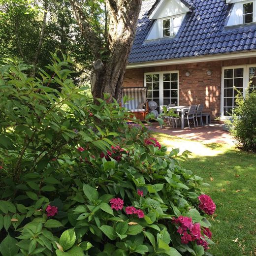 Terrasse rundum begrünt