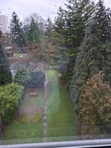 Ausblick in den Garten