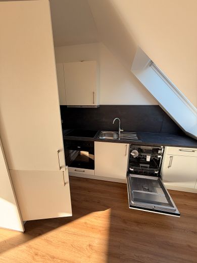 Helle 3-Raumwohnung im Erstbezug – Küche mit Geschirrspüler