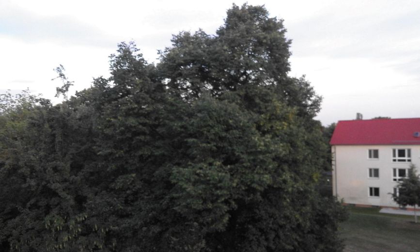 Habiter merveilleusement en solitaire, au calme et au milieu de la verdure de WI-Sonnenberg, sur un versant sud – Sicht nach Südost