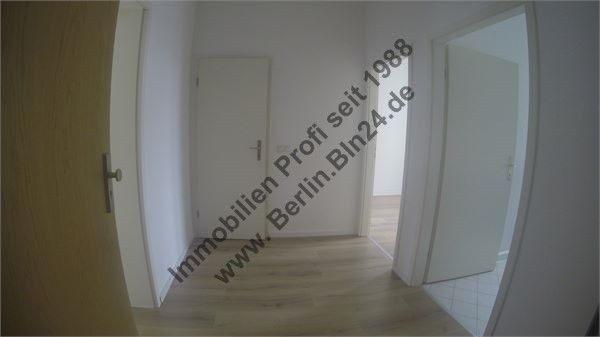 Mietwohnung+ saniert in Halle Giebichenstein – G0074921