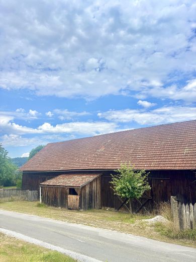 Schwarzach ve Murach Vadisi'nde dört cepheli çiftlik evi – Fotoğraf 8