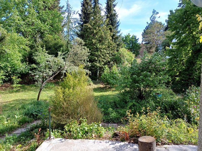 Charmantes Haus auf großem Grundstück in München Pasing – Garten