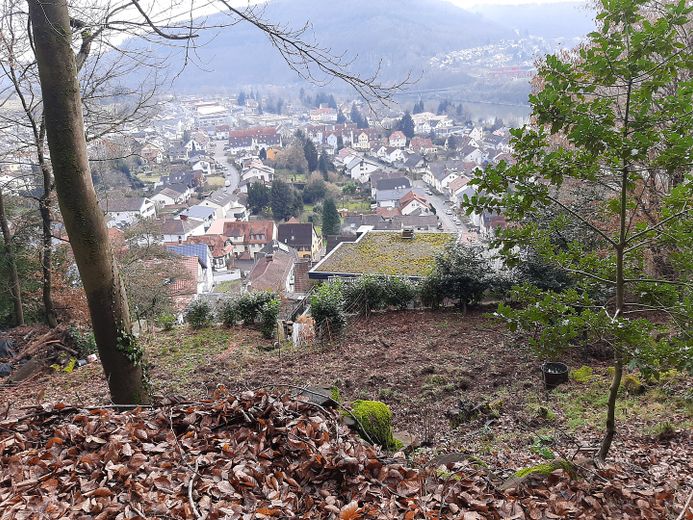 Baugrundstück mit Neckarblick in begehrter Lage von Kleingemünd – Fernsicht