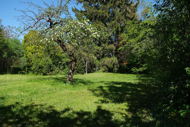 Grundstück mit Steinbungalow – Grundstück