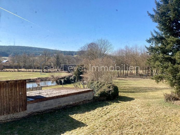 weitläufige Gartenfläche