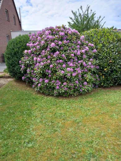 Gartenblick 2