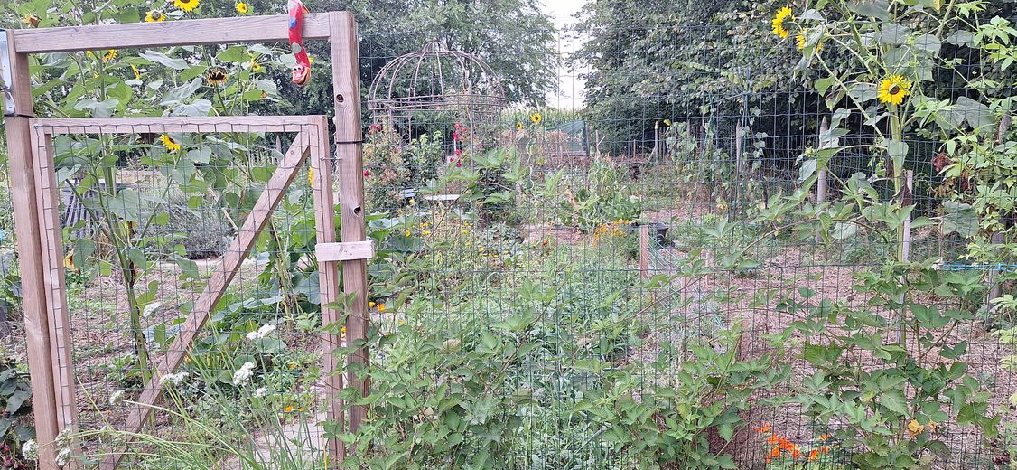 Garten