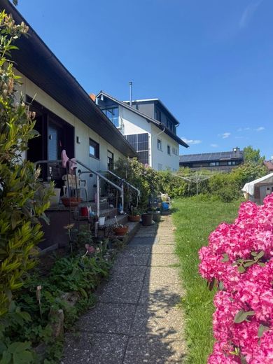 Haus mit großem Grundstück in Schmitten – IMG_0382