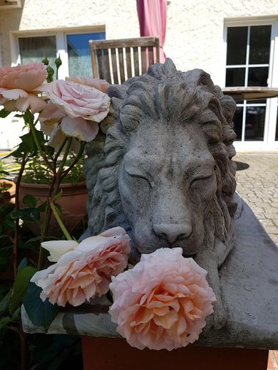 Wächter