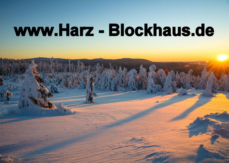 6 Blockhäuser/Ferienhäuser mit sehr guter Rendite, in Top Lage. Einzel- oder Gesamtverkauf möglich. – Foto 22