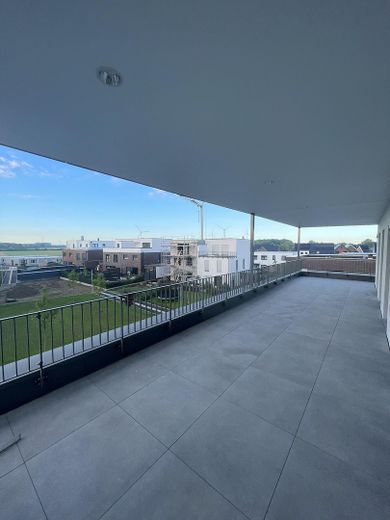 Moderno e luminoso - attraente attico con 3 locali a Drensteinfurt – Dachterasse