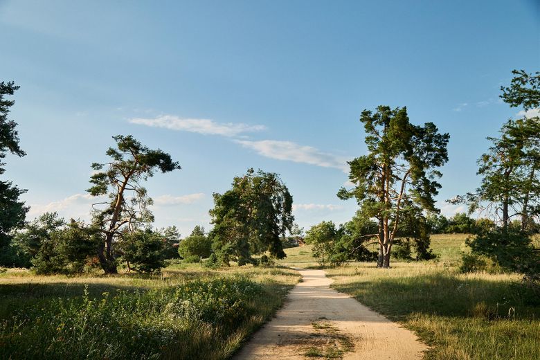 Highlight im Röthelheimpark - bezugsbereit, 4 Zimmer, großer Garten mit Pool – Naherholung