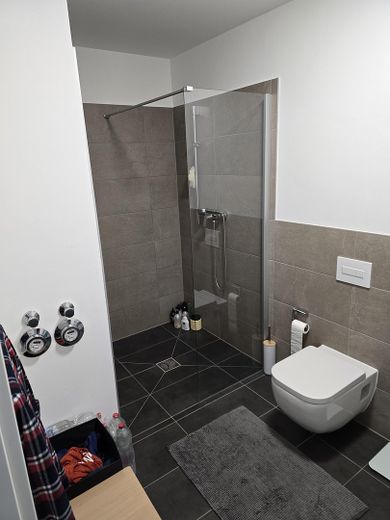 Luxuriöse Neubauwohnung  28 m2 Nürnberg – Badezimmer von innen