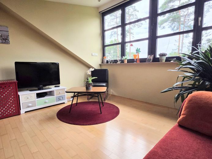OHNE MAKLER , Provisionsfrei: Idylle am Waldrand in Bleckede mit Kamin und Sauna auf 1100 qm" “ – Foto 23