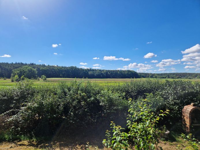 Ausblick von der Terrasse