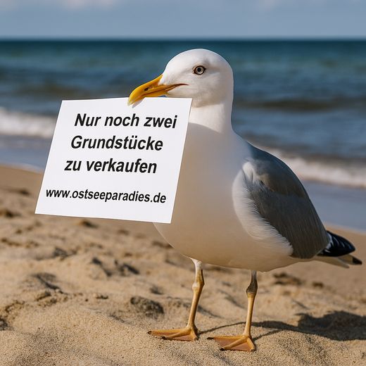 Baugrundstück Insel Rügen ca 200 m zur Ostsee erschlossen – Nur noch zwei Grundstücke 