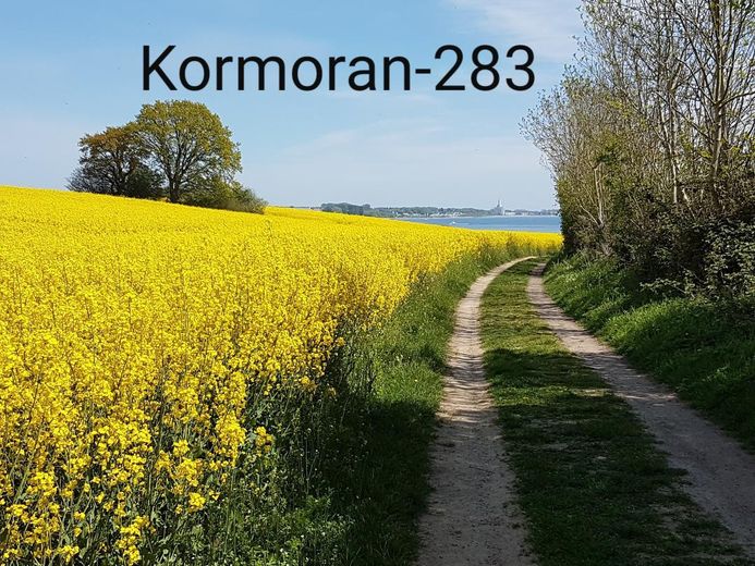 Immer was Neues zu entdecken