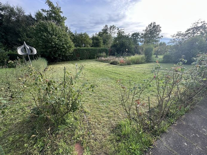 Großzügiges - freistehendes - Einfamilienhaus mit Garten - Privatverkauf ohne Maklerprovision – Garten 2