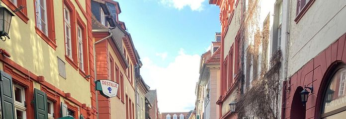 Квартира с террасой в самом сердце Старого города Гейдельберга