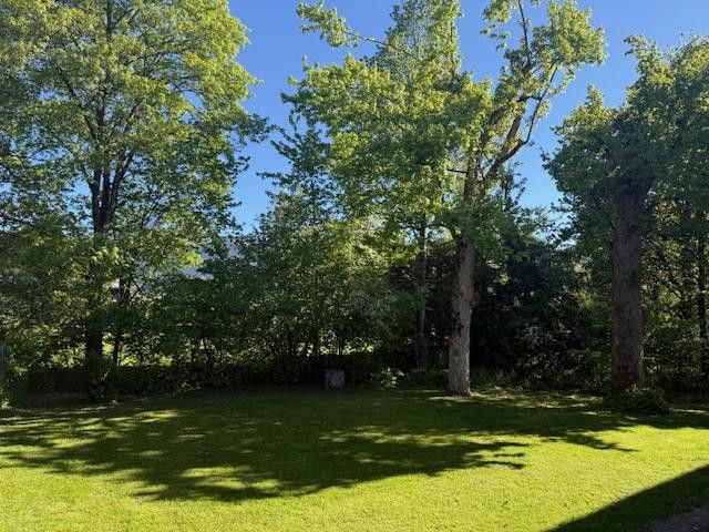 Parkähnliches Grundstück 1