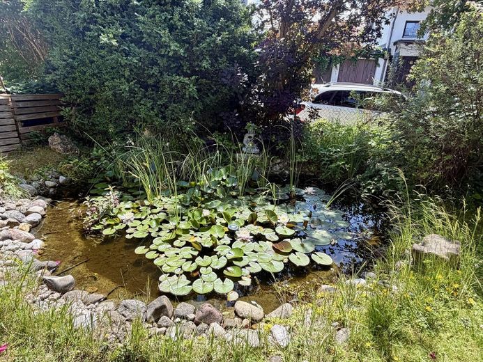 Haus (EFH auf 1052m² Grund) separater ELW auf traumhaften Grundstück, Doppelgar., Baumh. & Seilbahn – Teich mit Springbrunnen
