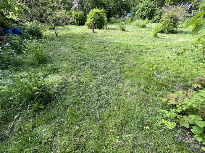 Den Nordseedeich immer im Blick, ruhig gelegenes Baugrundstück – hier wird ihr Eigenheim stehen