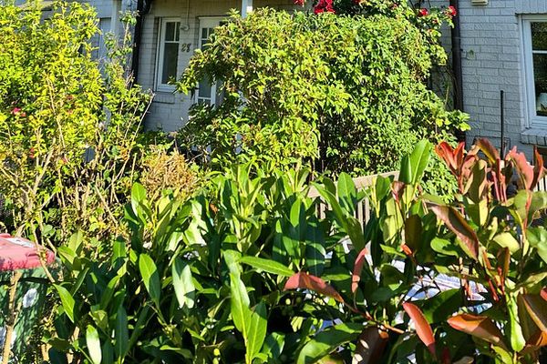 تاون هاوس / Townhouse في هامبورغ - إيمسبوتل مع إطلالة غير قابلة للحجب على متنزه المدينة إيمسبوتل